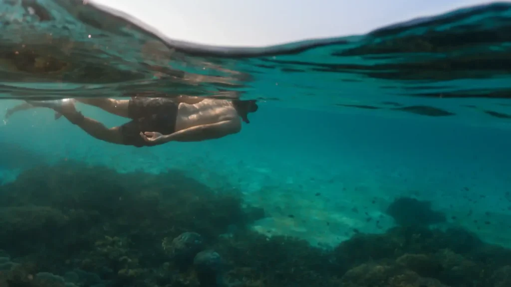 Komodo vs Raja Ampat: Best Liveaboard Trip from Bali?