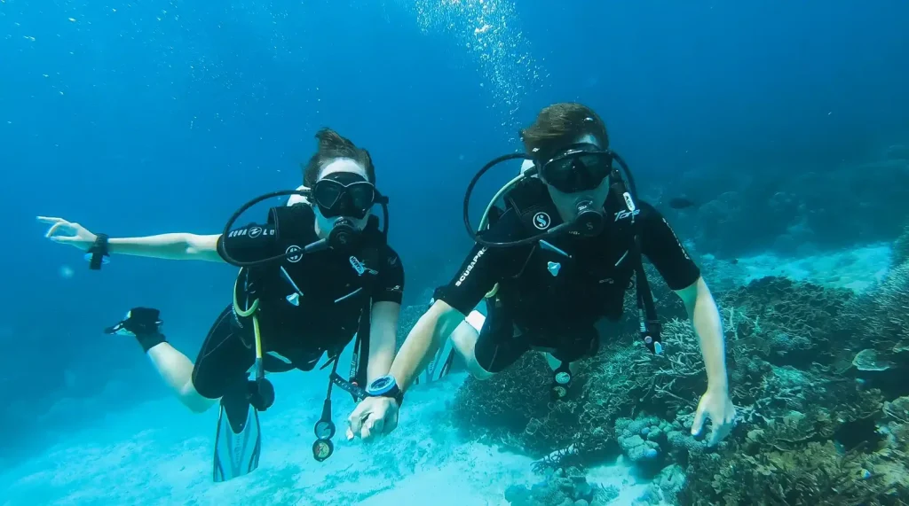 The Ultimate Bali to Komodo Liveaboard Route Guide for Divers
