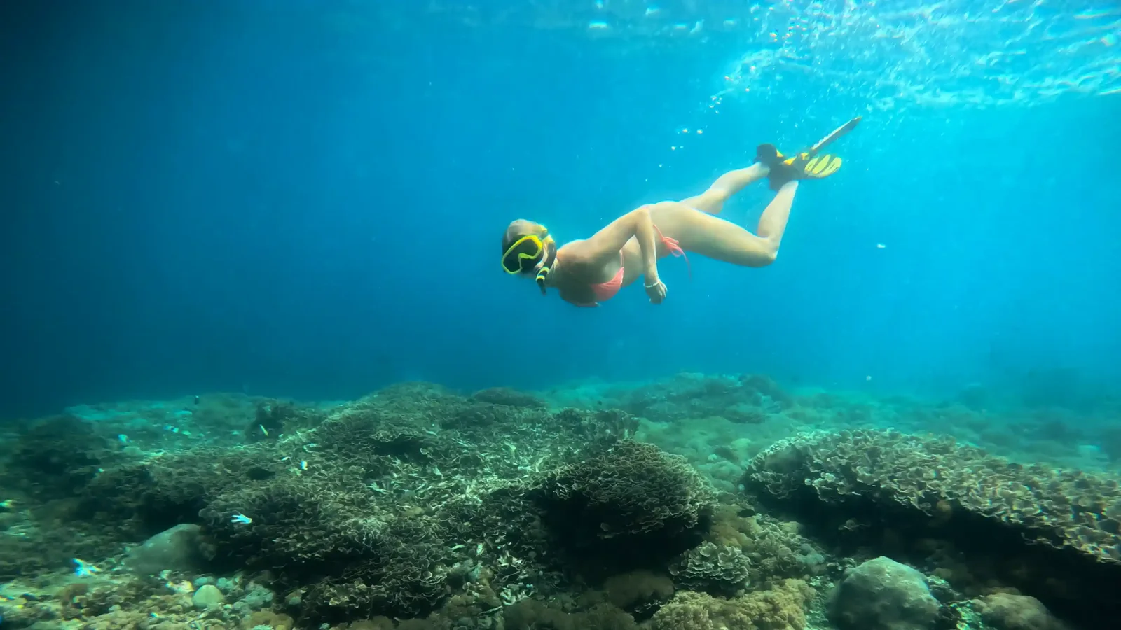 Snorkeling Nusa Penida