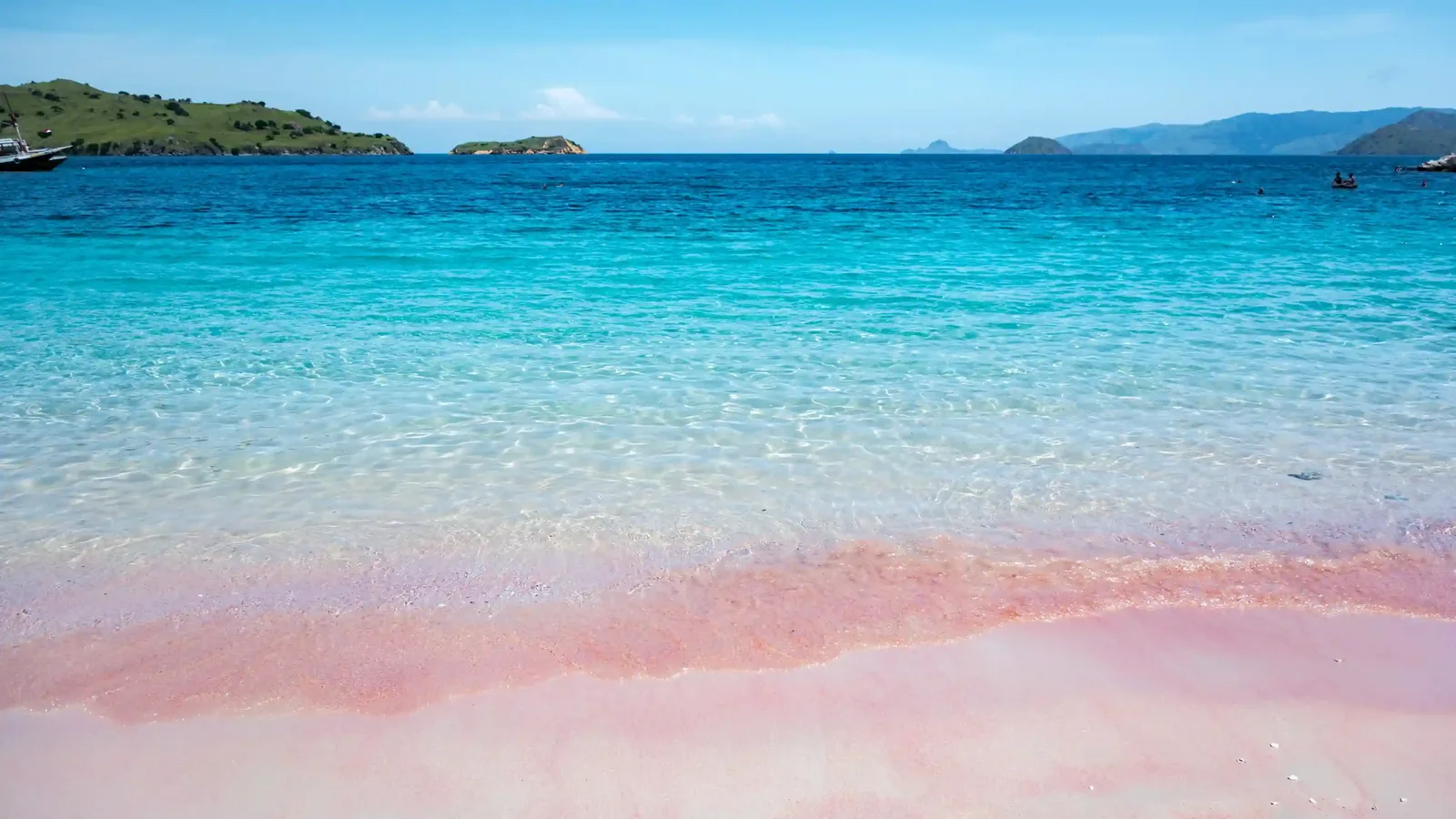 Tropical Beach Pink Komodo National Park