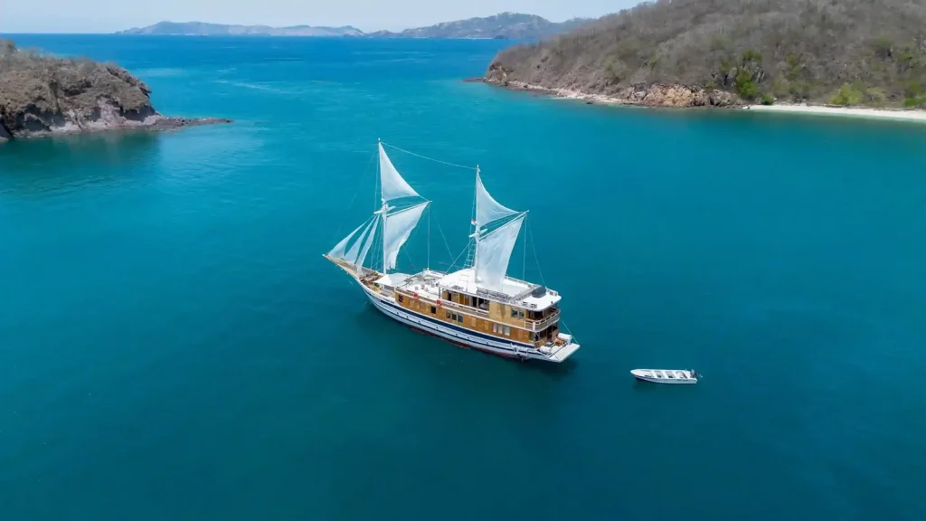 Projected Komodo Liveaboard Occupancy 2027–28