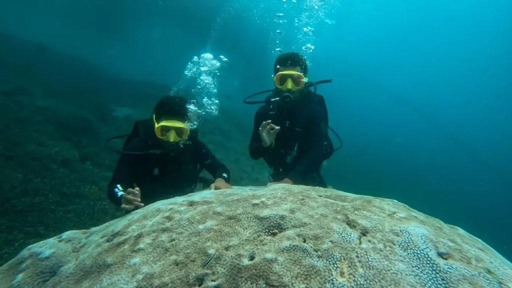 Exploring Bali’s Hidden Dive Sites: Discovering Secret Diving Spots in 2027