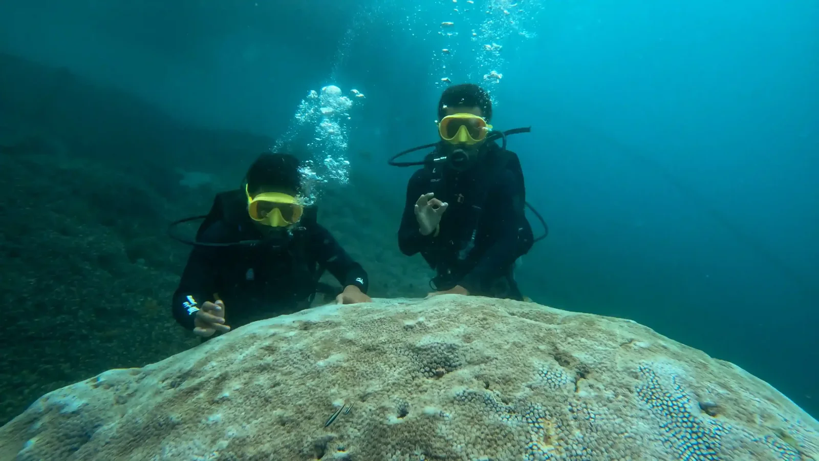 Diving & Snorkeling