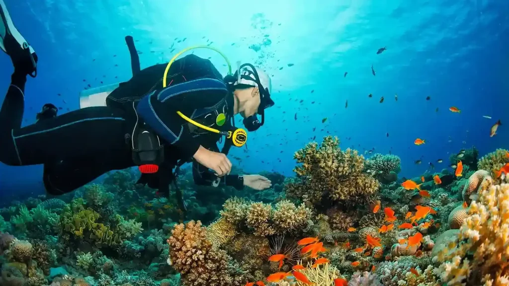 Understanding Bali’s Marine Conservation Efforts