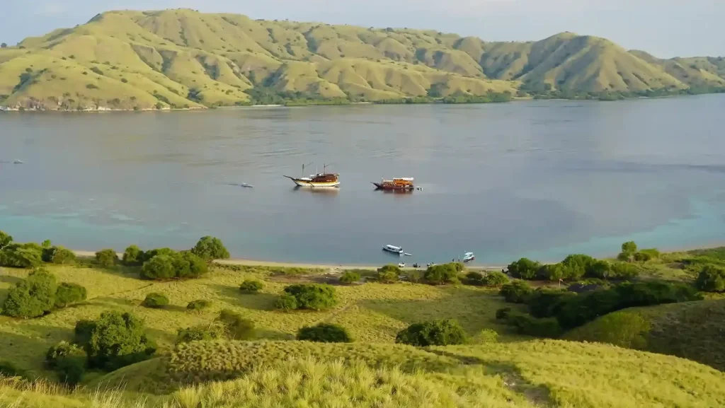 Gili Lawa Komodo — Liveaboard Bali network photo