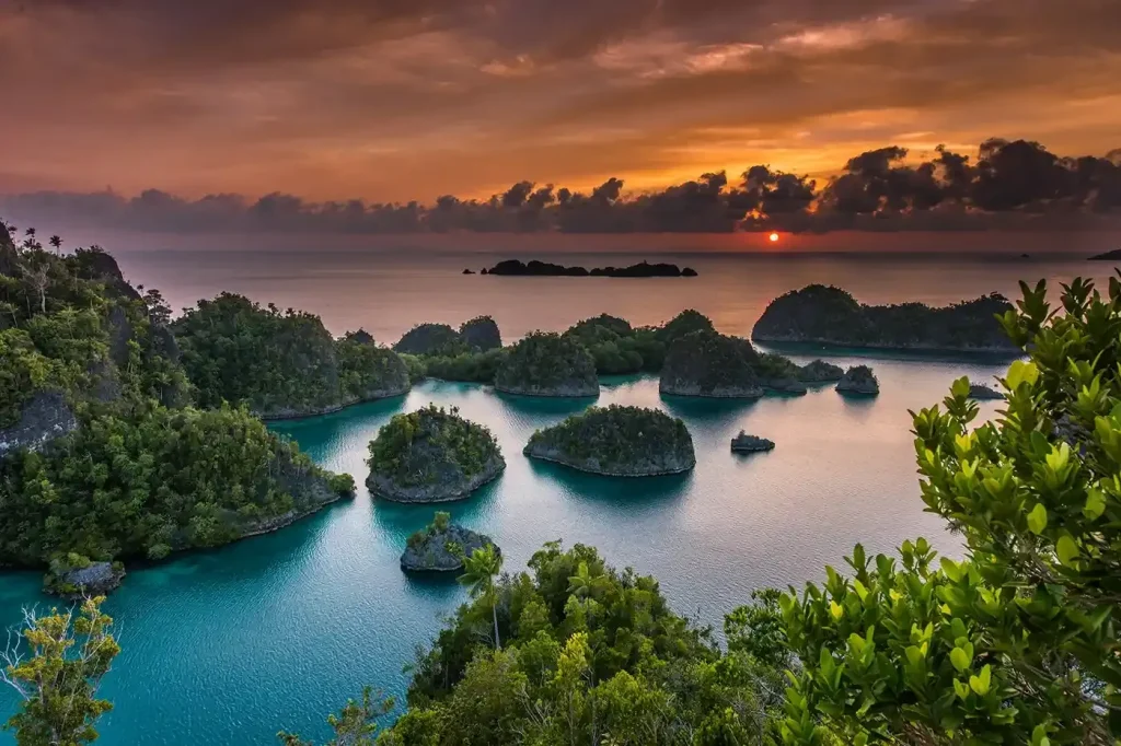 Raja Ampat — Liveaboard Bali network photo