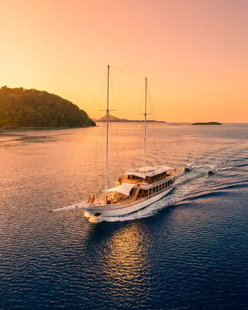 Fenides — Liveaboard Bali network photo